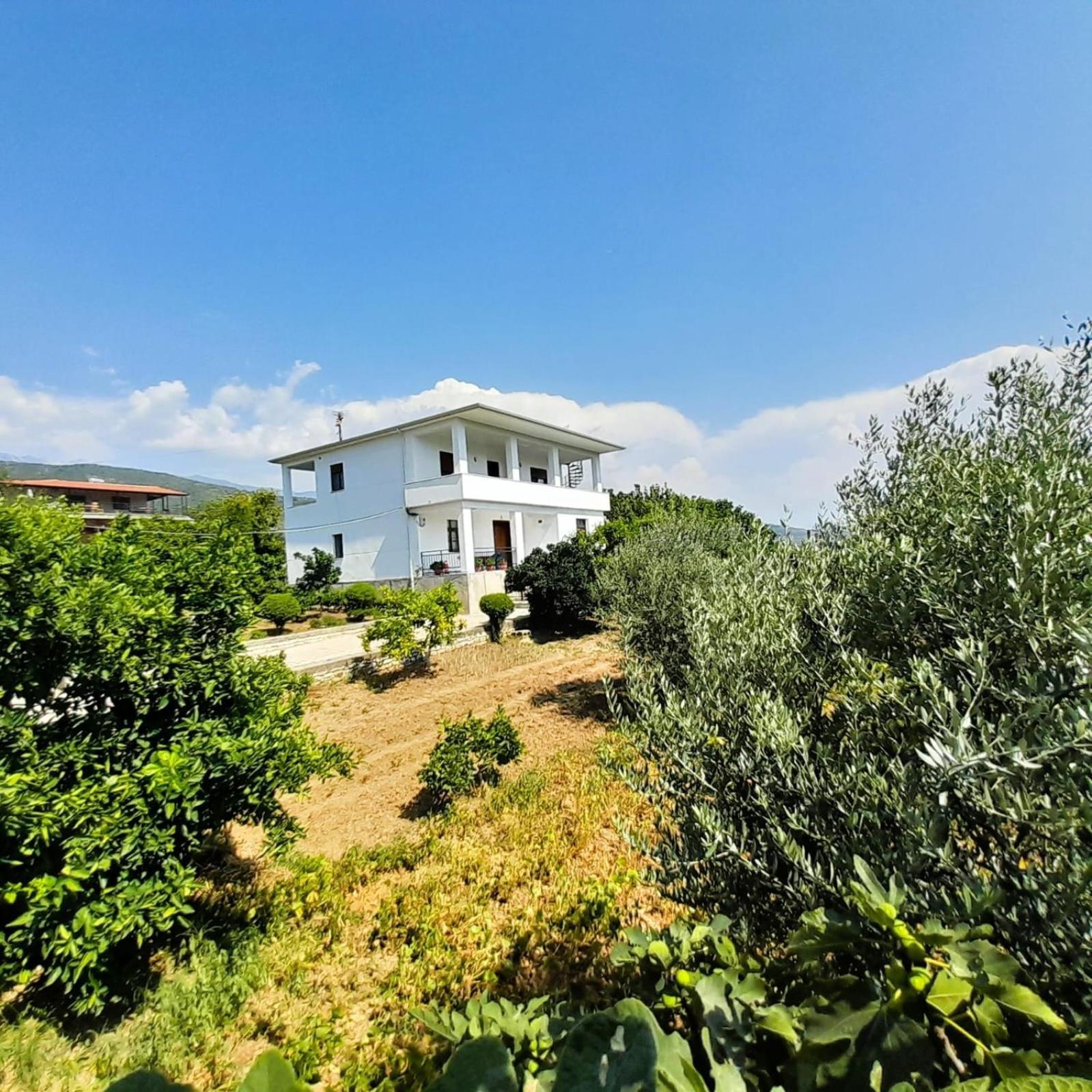 Villa Besart Berat Ngoại thất bức ảnh