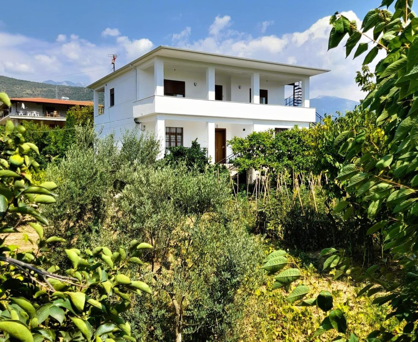 Villa Besart Berat Ngoại thất bức ảnh